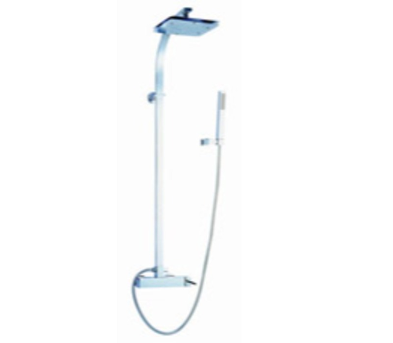 monocomando-de-chuveiro-c-haste-carlos-e-miguel